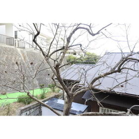 16/16 その他画像