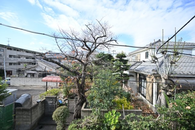 21/24 その他画像