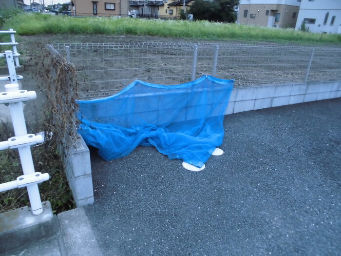 14/30 その他画像