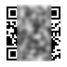 9/13 その他画像