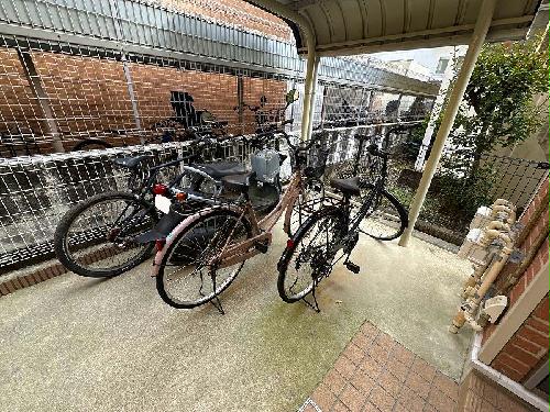 11/14 その他画像