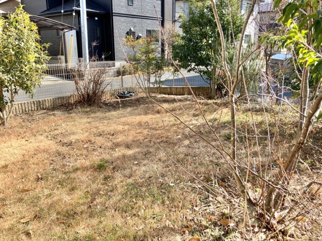 15/20 その他画像