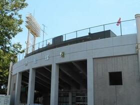 16/19 その他画像