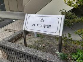 3/13 その他画像