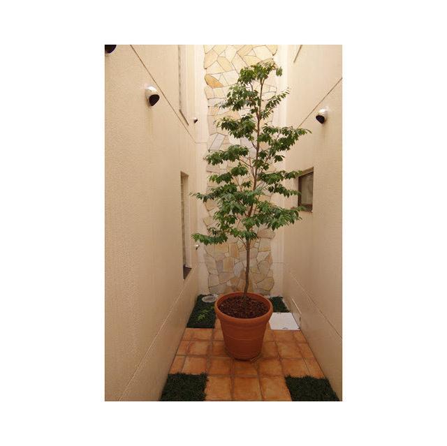 6/13 エントランス