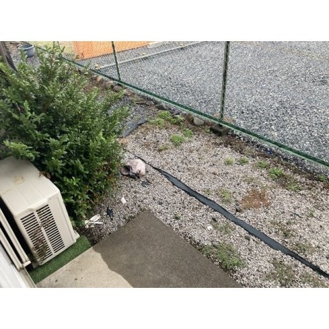 22/24 その他画像