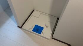 4/16 その他画像