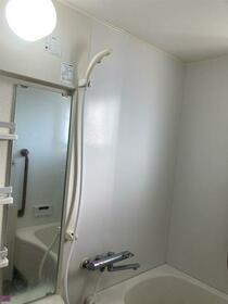 5/11 その他画像