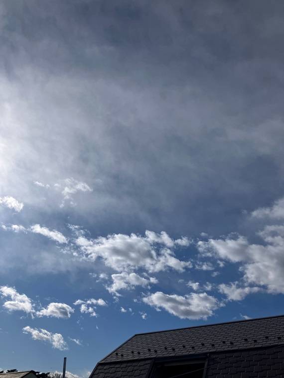 15/19 その他画像