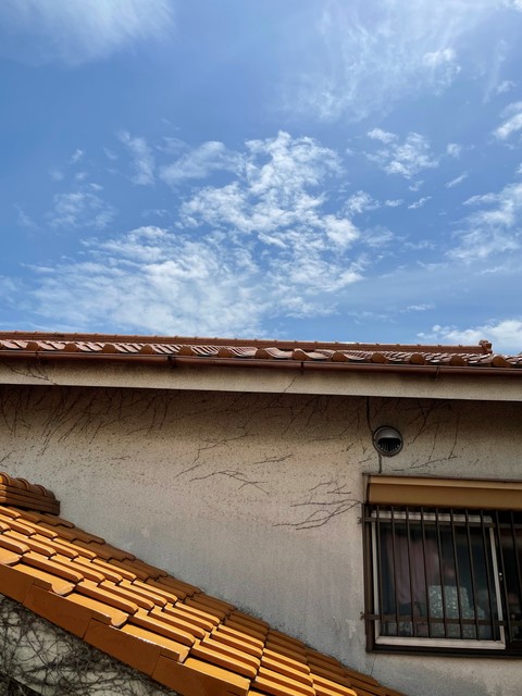 14/17 その他画像