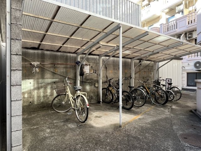 3/15 その他画像