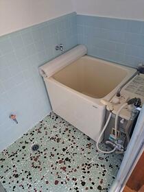 8/11 その他画像