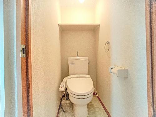 11/14 その他画像