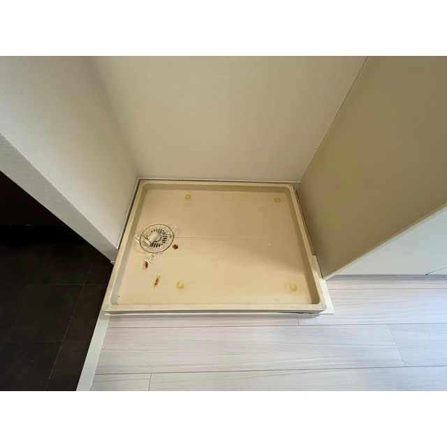 14/19 その他画像