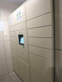 15/16 その他画像