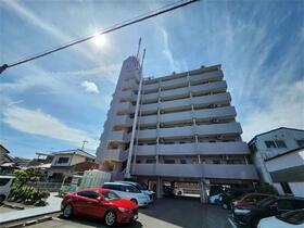 3/16 その他画像