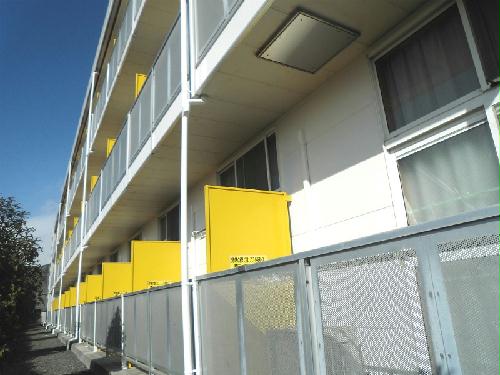 11/14 その他画像