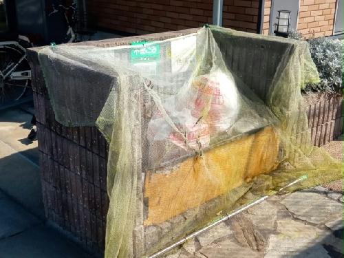 9/12 その他画像