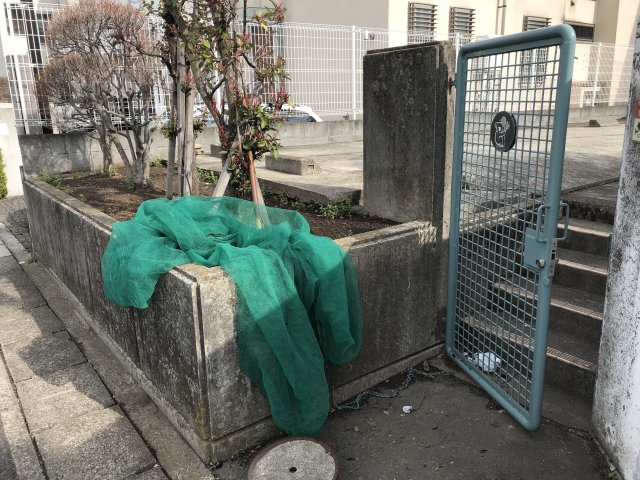 19/22 その他画像