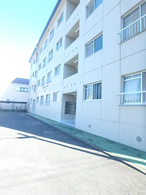 20/30 その他画像