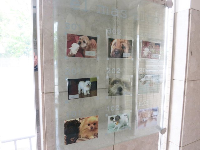 20/29 その他画像