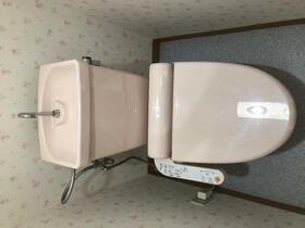 11/11 その他画像