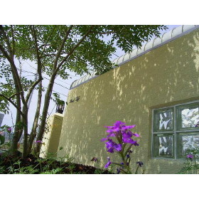 15/16 その他画像