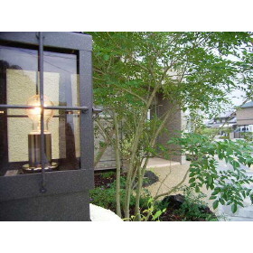 16/16 その他画像