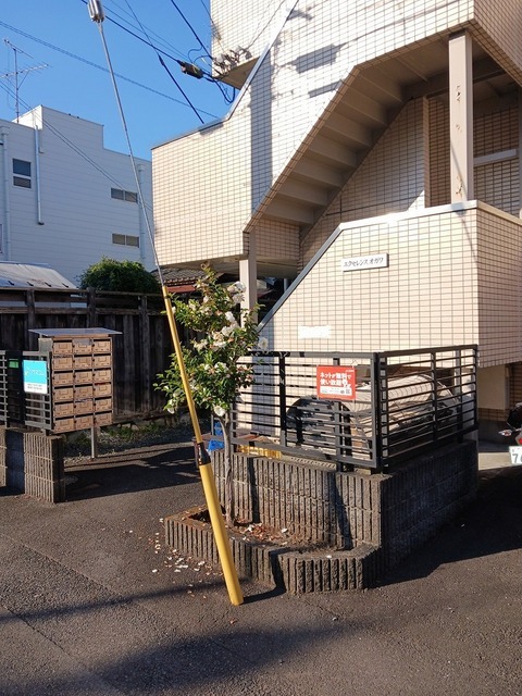 14/20 その他画像