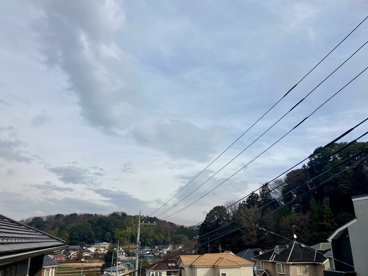 16/29 その他画像