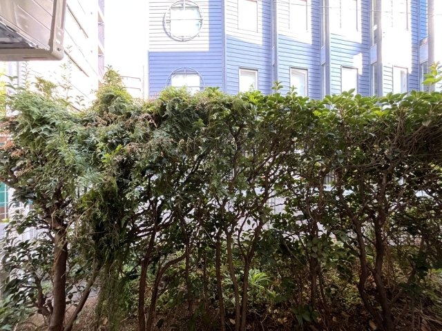 20/23 その他画像