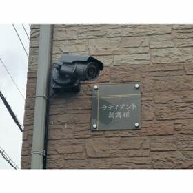 11/11 その他画像