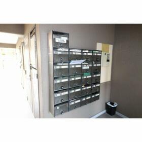 6/11 その他画像