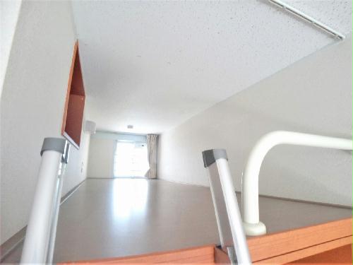 12/14 その他画像