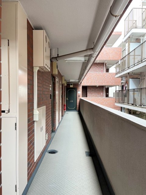 15/19 その他画像