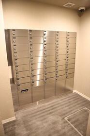 15/16 その他画像