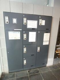 15/16 その他画像