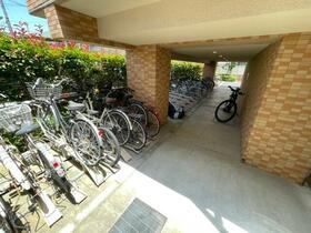 6/14 その他画像