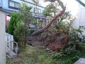 11/13 その他画像