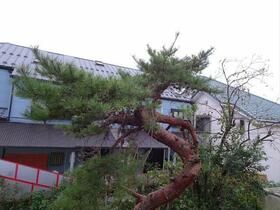 12/12 その他画像