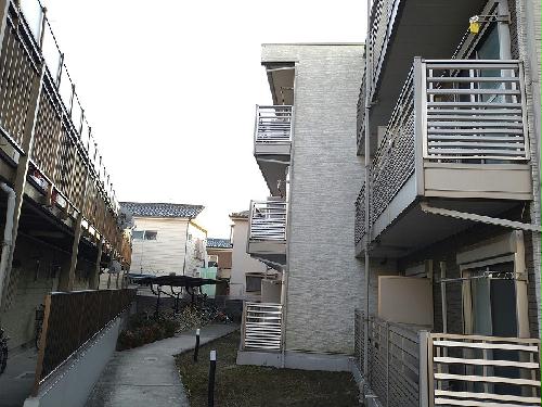 11/22 その他画像