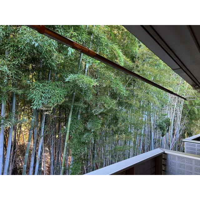 22/24 その他画像