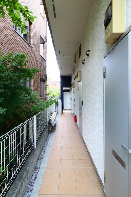 5/16 その他画像