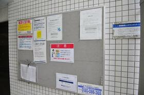 8/12 その他画像