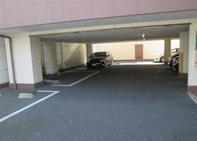 3/15 その他画像