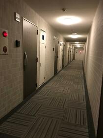 15/16 その他画像