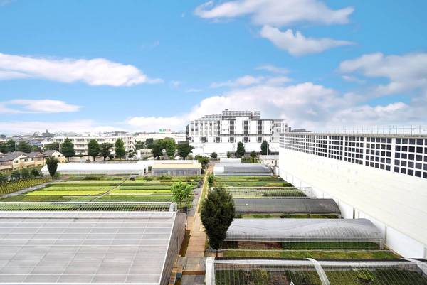 13/18 その他画像