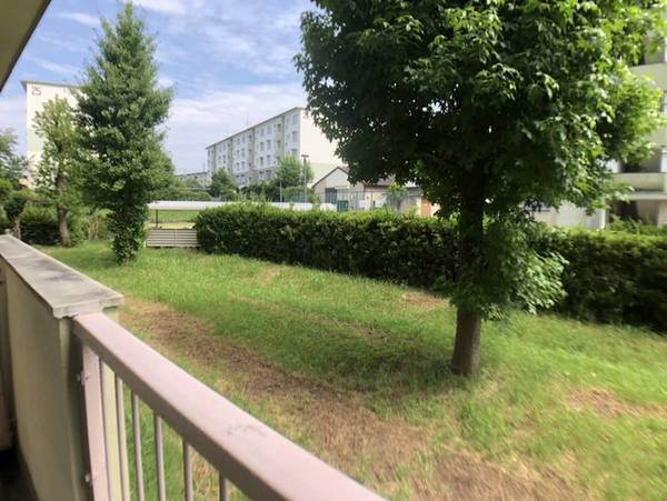 13/18 その他画像