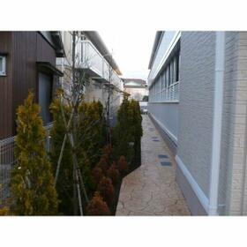 5/15 その他画像