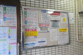 8/15 その他画像